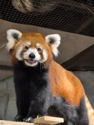 -Zoolung Zoolung动物主题公园(海信广场店)