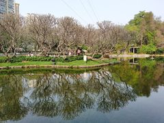 -晓港公园