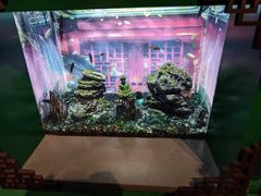 -常州海昌海洋探索馆
