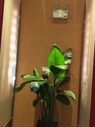 -盘子女人坊古装写真摄影(南京总店)