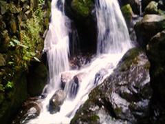 景点-藏龙百瀑风景区