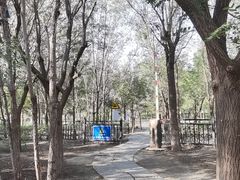 -西青郊野公园