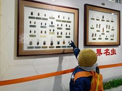 -上海昆虫博物馆