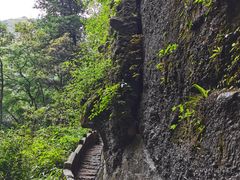 -青城山