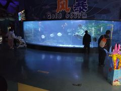 -烟台海昌鲸鲨海洋公园