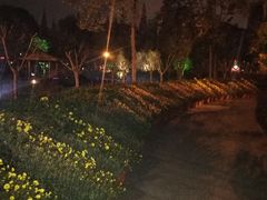 -成飞公园