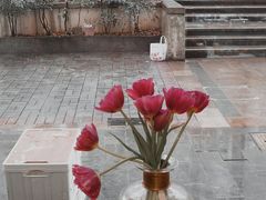 -COTTON CAFE(德信·中外公寓店)