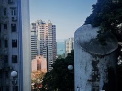 -香港大学