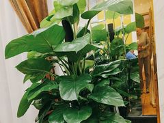 -湖北三五醇酒店·35年新楚菜