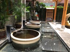 -弘安丽水温泉酒店