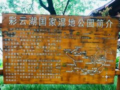 -重庆彩云湖湿地公园