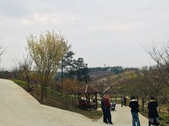 -绵阳盛世樱花悠乐谷