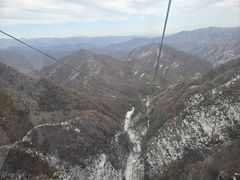 -栾川竹海野生动物园