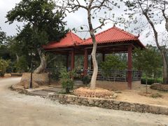 -大地土窑菜馆·特色罗浮农家菜(罗浮山景区店)