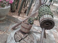 -苏州环秀晓筑养生度假村