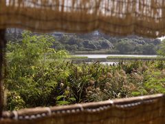 -华侨城湿地公园