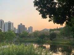 -四海公园(南山区)