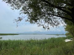 -野鸭湖国家湿地公园