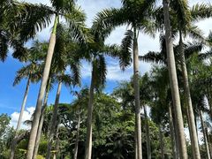 -中国科学院西双版纳热带植物园