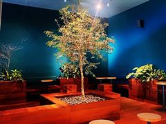 -Seesaw Coffee(深圳万象天地店)
