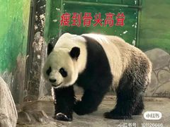 -临沂动植物园