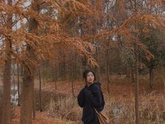 -昆山城市生态森林公园