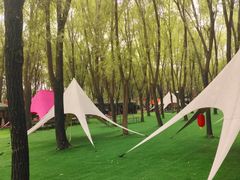 -草根堂农场
