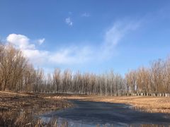 -东郊湿地公园