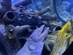 -成都浩海立方海洋公园