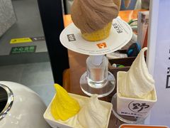 -野人先生Gelato(上海长宁龙之梦店)