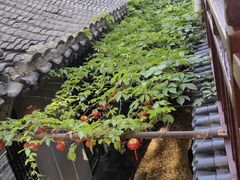-悦真雅院·四合院·清真私房菜(雍和宫店)