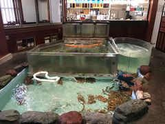 -札幌かに本家(福岡那の川店)