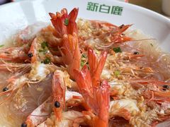 -新白鹿餐厅(城西银泰城店)