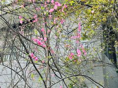 -西安市广仁寺