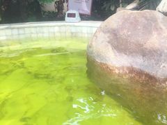 -秦皇岛阿尔卡迪亚滨海度假酒店