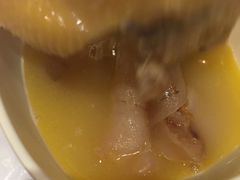 -鲜入围煮花胶鸡海鲜火锅