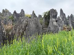 -泥凼石林风景区