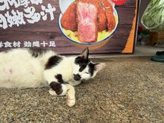 -葑门横街