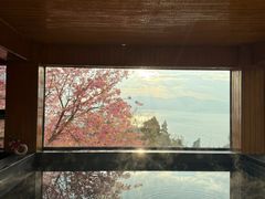 -抚仙湖禄充风景区