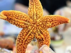 -来之顺海鲜菜馆·青岛菜·始于1993(栈桥店)