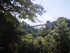 -娄山关景区