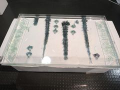 -天津美术学院-校史馆