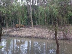 iphone_upload_pic-溱湖国家湿地公园