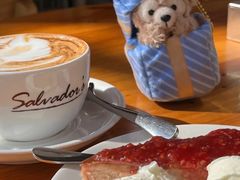 -萨尔瓦多Salvador's