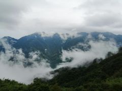 -江南天池