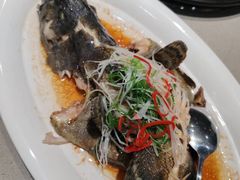 -大锅强·蒸海鲜青岛菜(吾悦广场店)