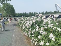 -南京眼步行桥