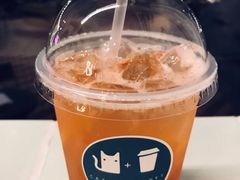 -有猫主题·治愈系猫咖(曾厝垵店)