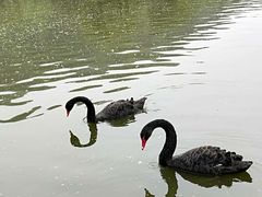 -西安秦岭野生动物园