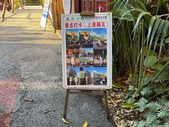 -西双版纳原始森林公园